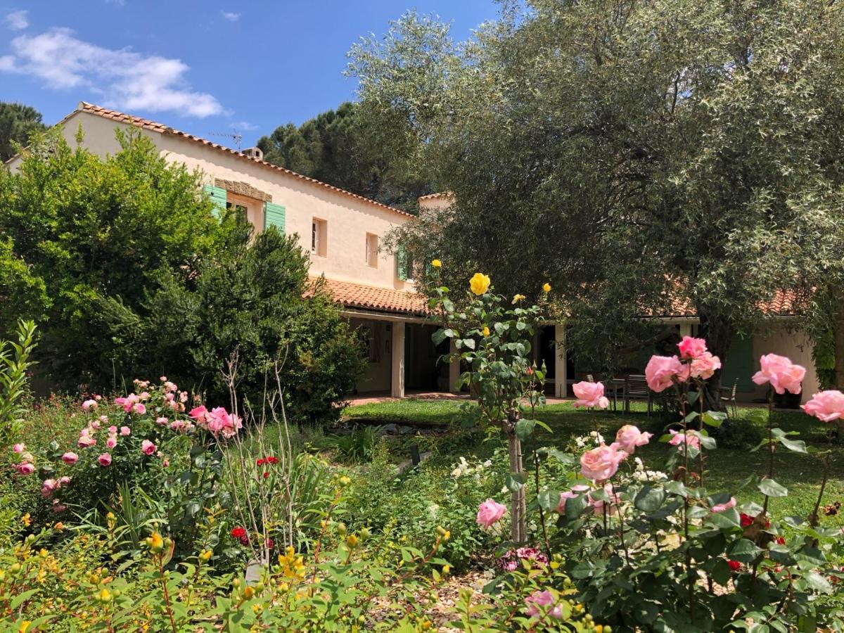 Villa Bonheur Vallespir Ceret Bagian luar foto