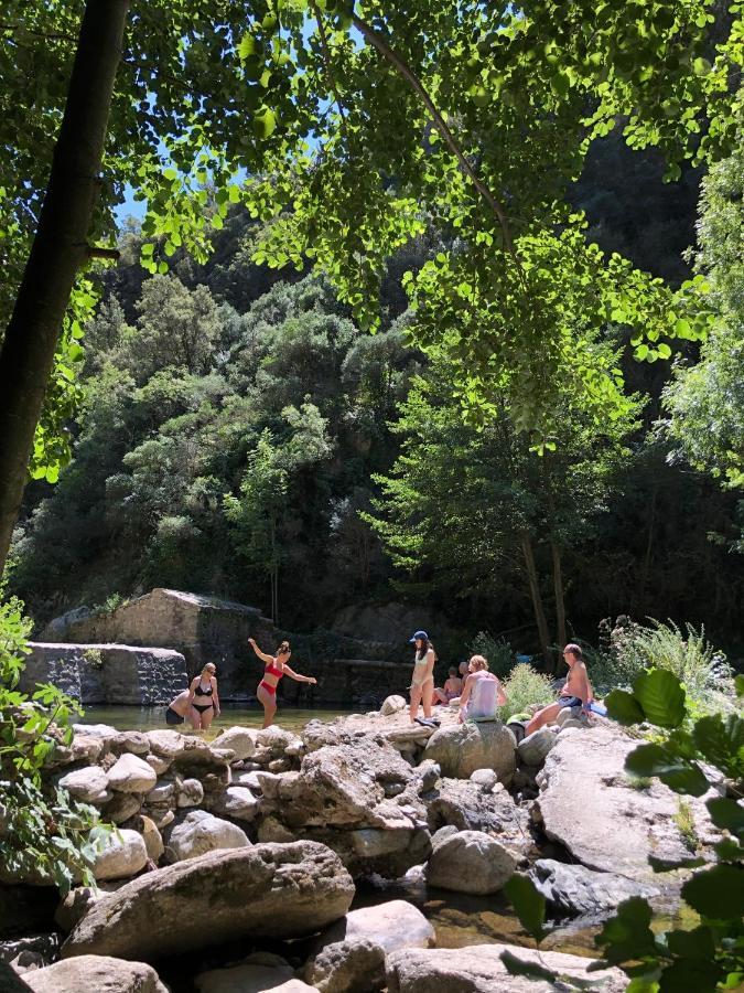 Villa Bonheur Vallespir Ceret Bagian luar foto