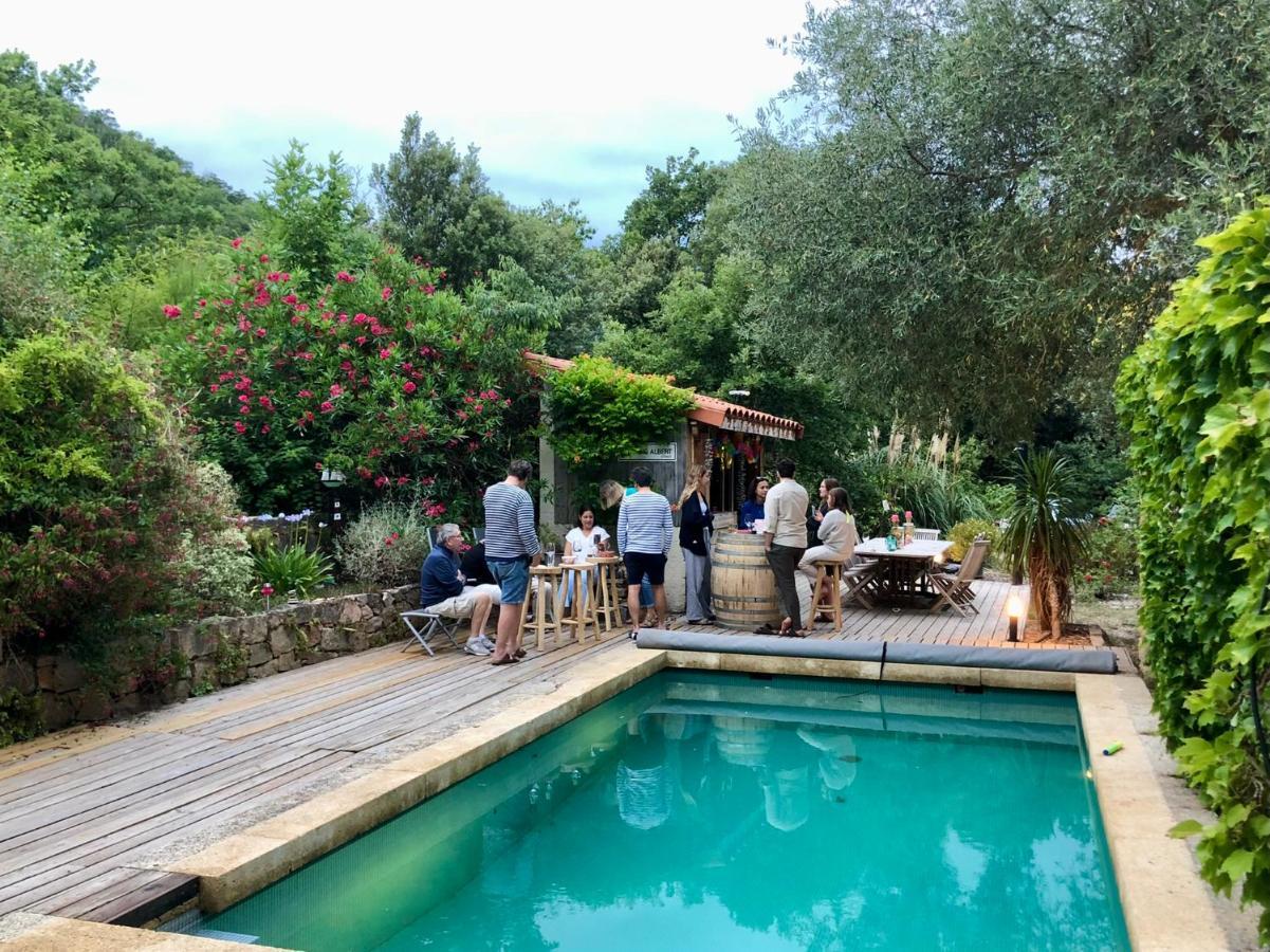 Villa Bonheur Vallespir Ceret Bagian luar foto