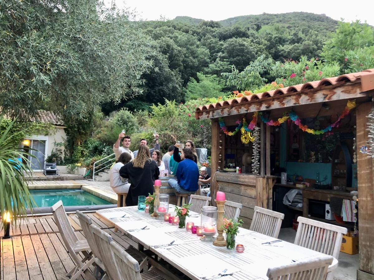 Villa Bonheur Vallespir Ceret Bagian luar foto