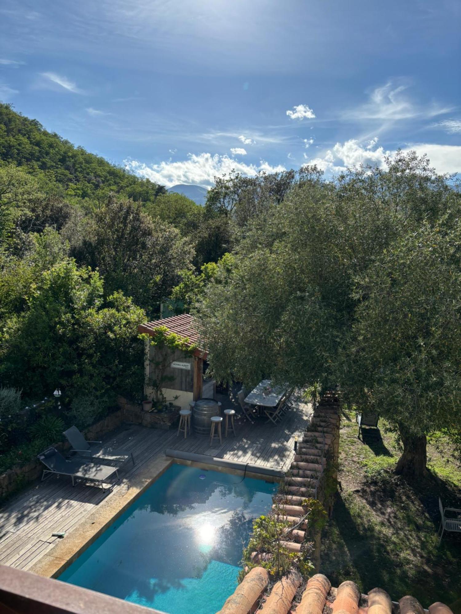 Villa Bonheur Vallespir Ceret Bagian luar foto